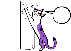CAT_EMOCIONADO