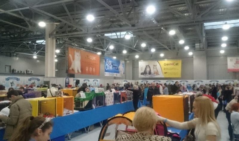 cropped-Russia_2018-002.jpg