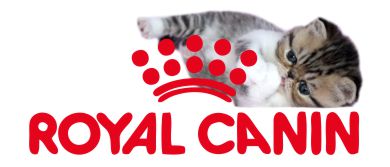 Royal-logo