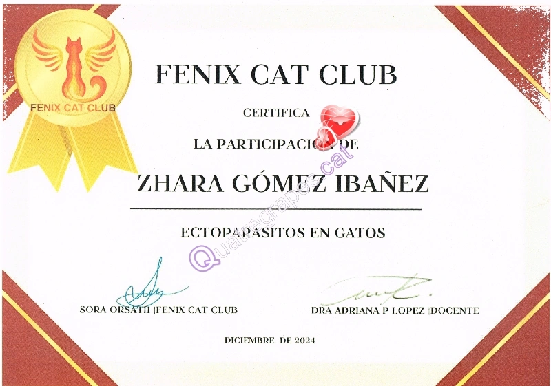 formación ectoparásitos gatos