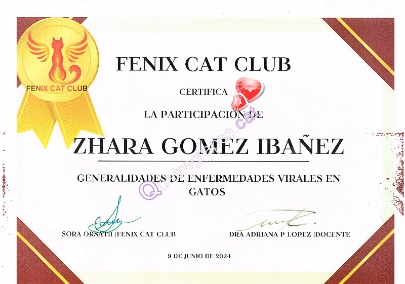 formación enfermedades gatos