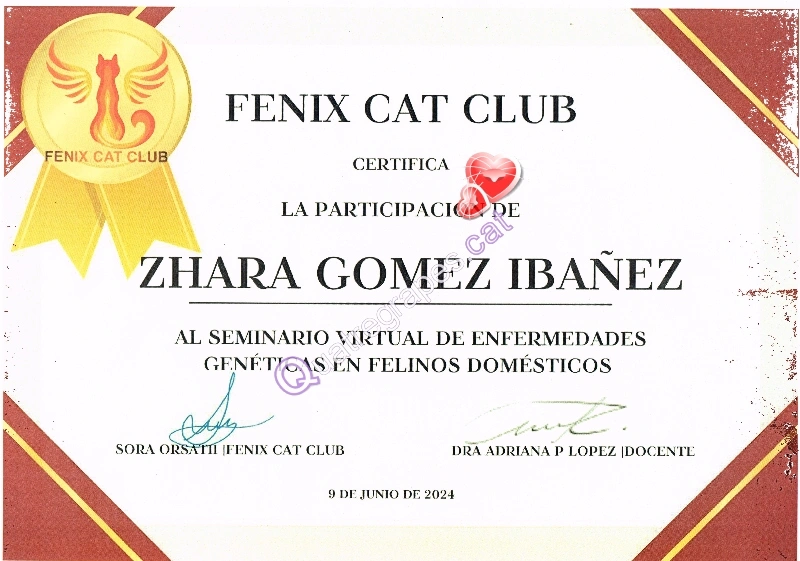 formación genetica gatos