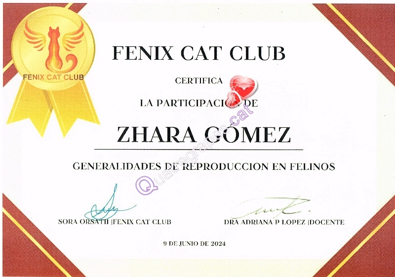 formación reproducción gatos