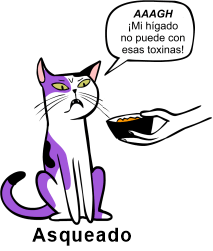 CAT_Asqueado